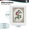 Stupell Industries Vintage Rose within Oval Framed Print Under Glass, design by Lettered and Lined